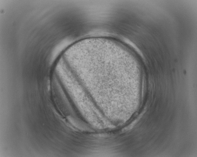 X0000076301461200610271902