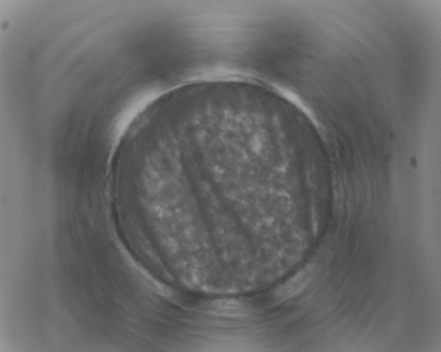 X0000076301463200610271902