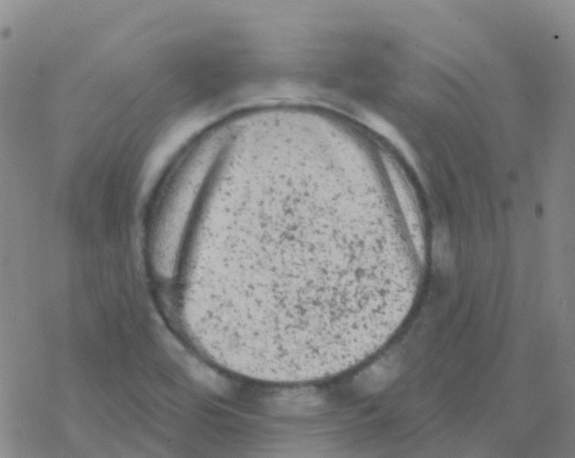 X0000076301464200610271902