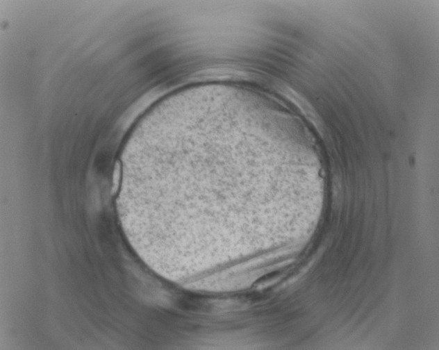 X0000076301465200610271902