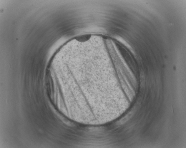 X0000076301469200610271902