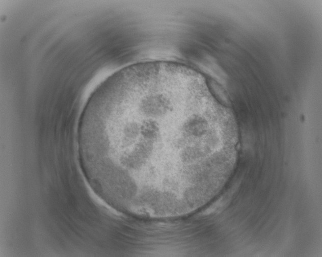 X0000076301471200610271902