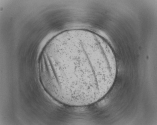 X0000076301472200610271902