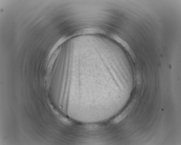 X0000076301473200610271902