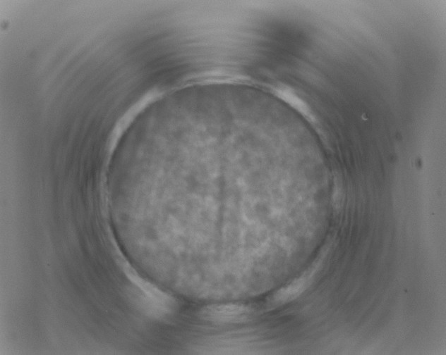 X0000076301474200610271902