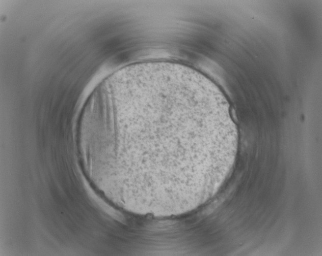 X0000076301475200610271902