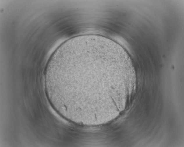 X0000076301476200610271902