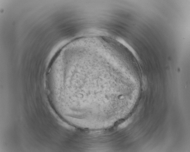 X0000076301477200610271902