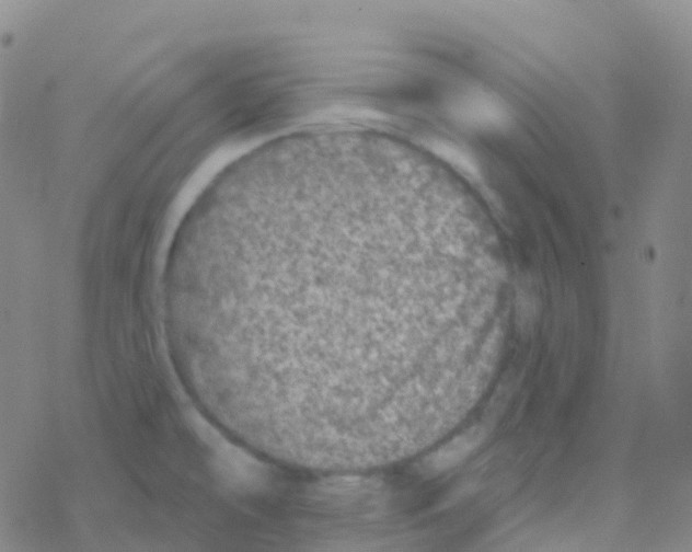 X0000076301478200610271902