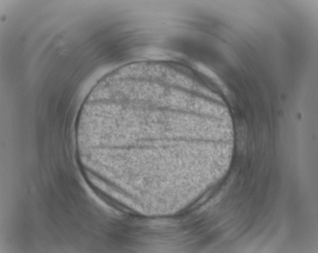 X0000076301479200610271902