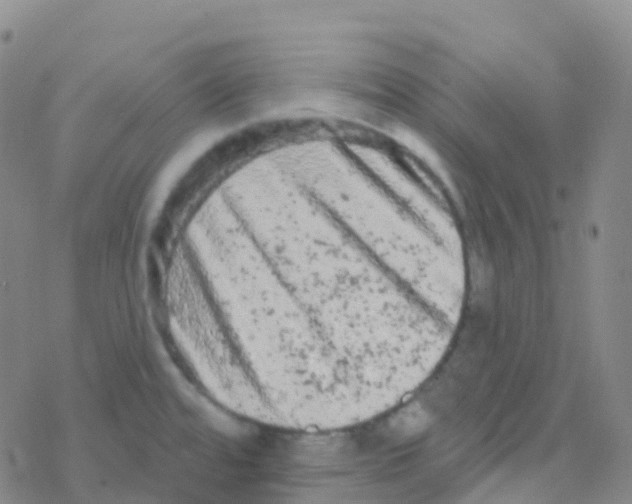 X0000076301480200610271902