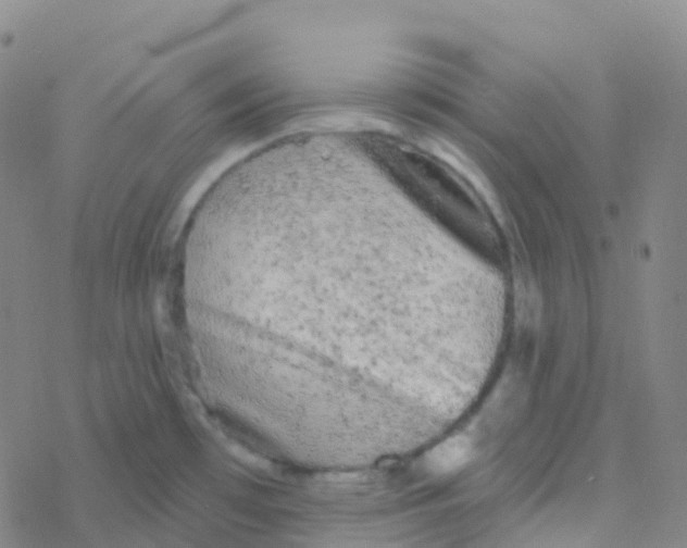 X0000076301481200610271902