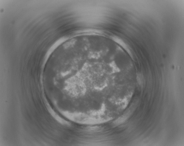 X0000076301482200610271902