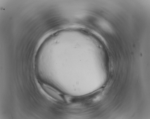 X0000076301483200610271902