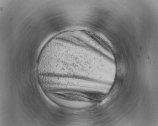 X0000076301484200610271901