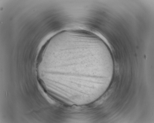 X0000076301485200610271901