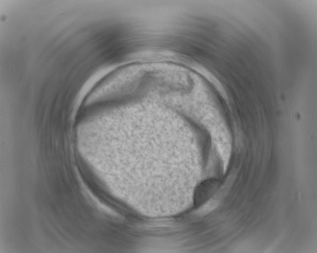 X0000076301486200610271901