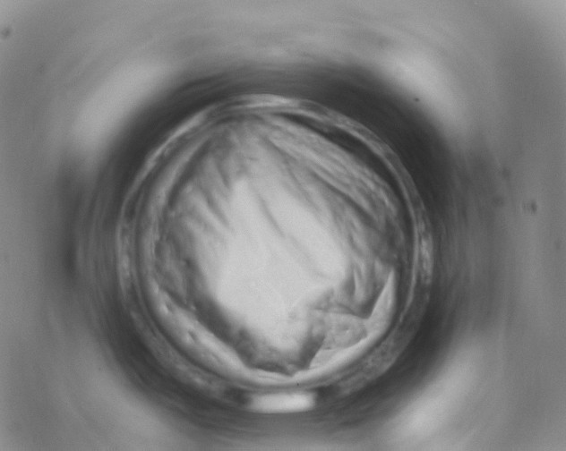 X0000076301487200610271901