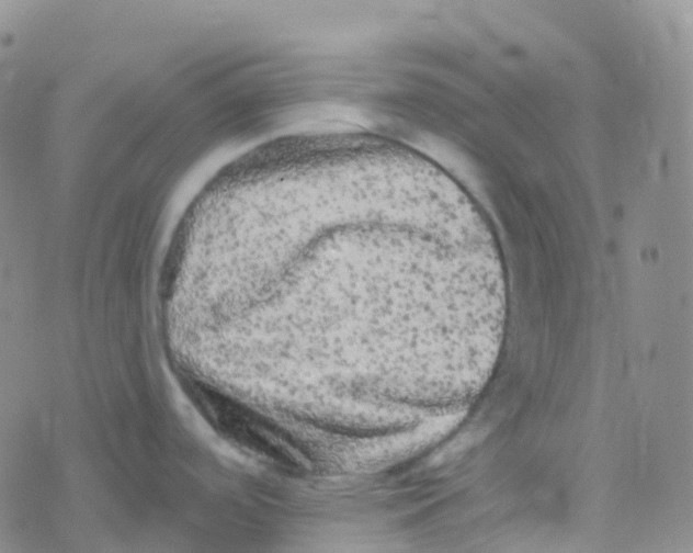 X0000076301488200610271901