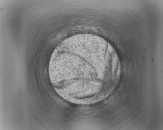 X0000076301489200610271901