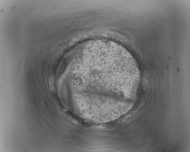 X0000076301490200610271901