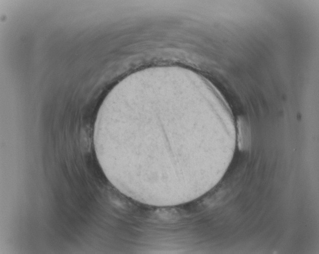 X0000076301491200610271901