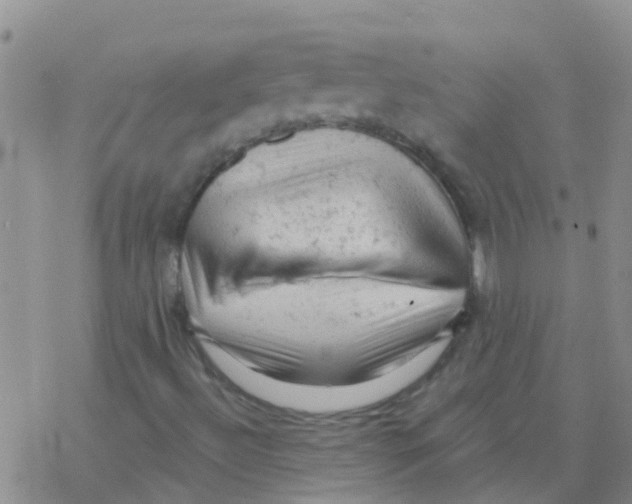 X0000076301492200610271901