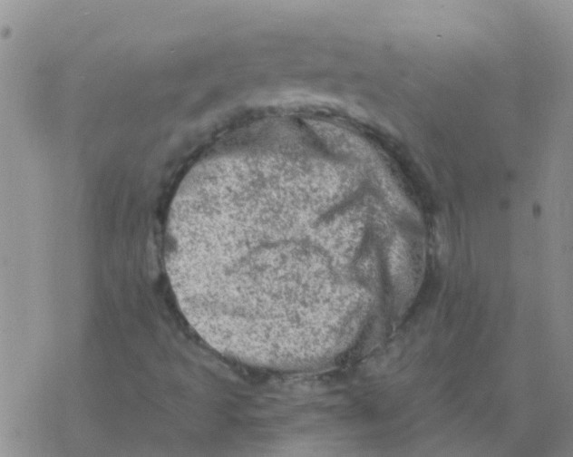 X0000076301493200610271901