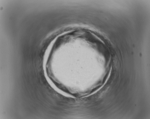 X0000076301494200610271901