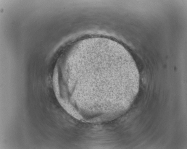 X0000076301495200610271901