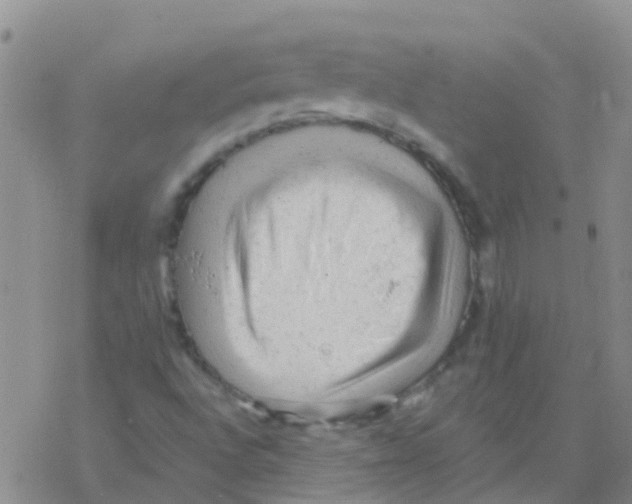 X0000076301496200610271901