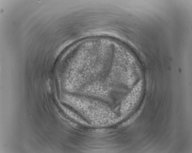 X0000076301497200610271901