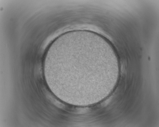 X0000076301498200610271901