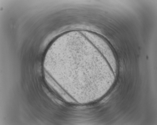 X0000076301499200610271901