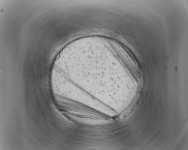 X0000076301500200610271901