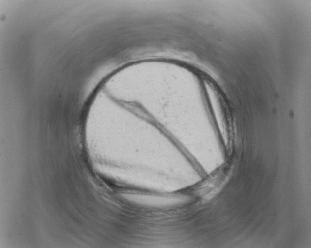 X0000076301501200610271901