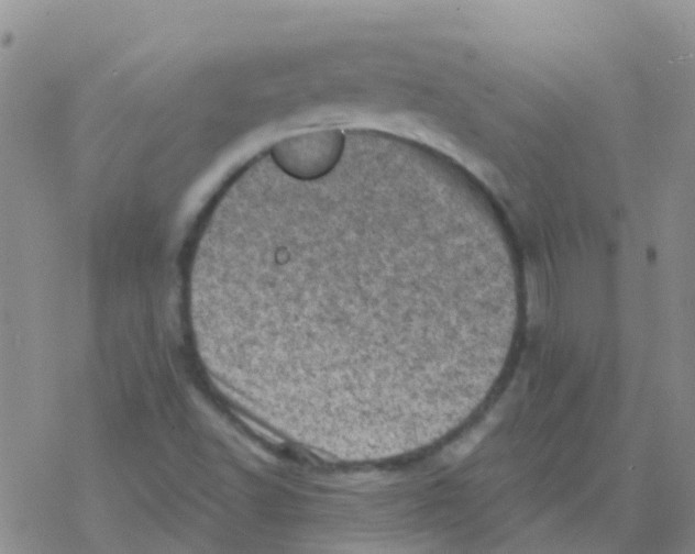 X0000076301502200610271901