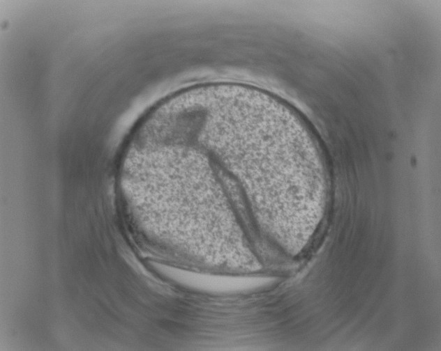 X0000076301503200610271901