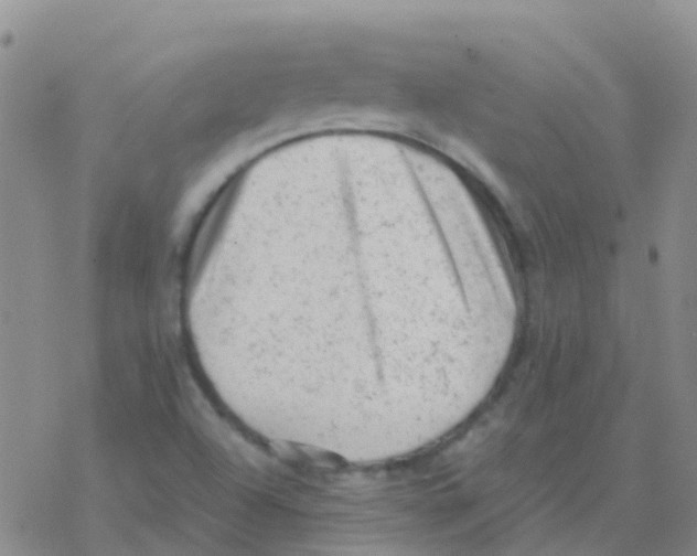 X0000076301504200610271901