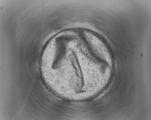 X0000076301505200610271901