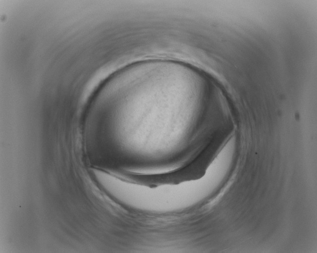 X0000076301506200610271901