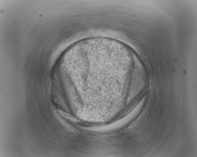 X0000076301507200610271901