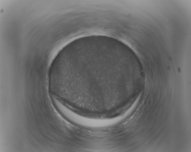 X0000076301508200610271901