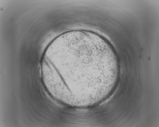 X0000076301509200610271901