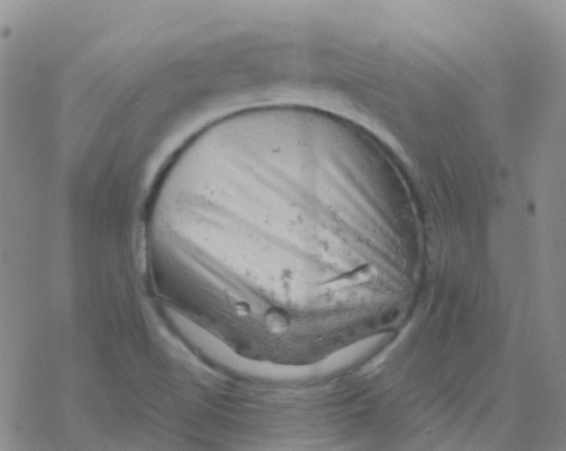 X0000076301510200610271901