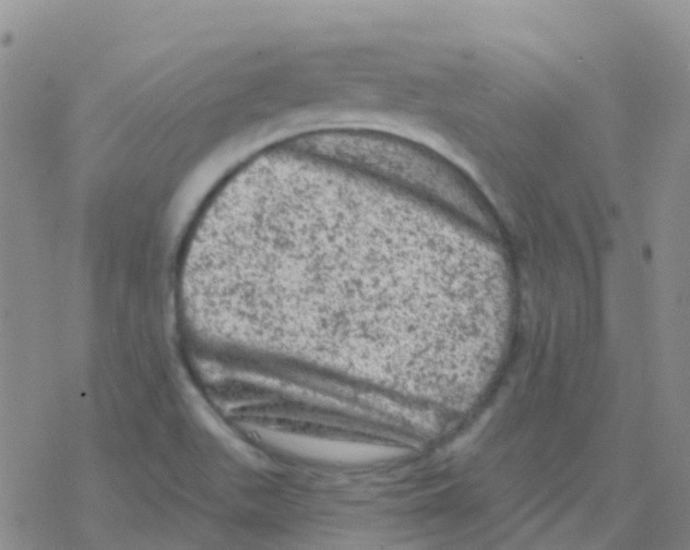 X0000076301511200610271901