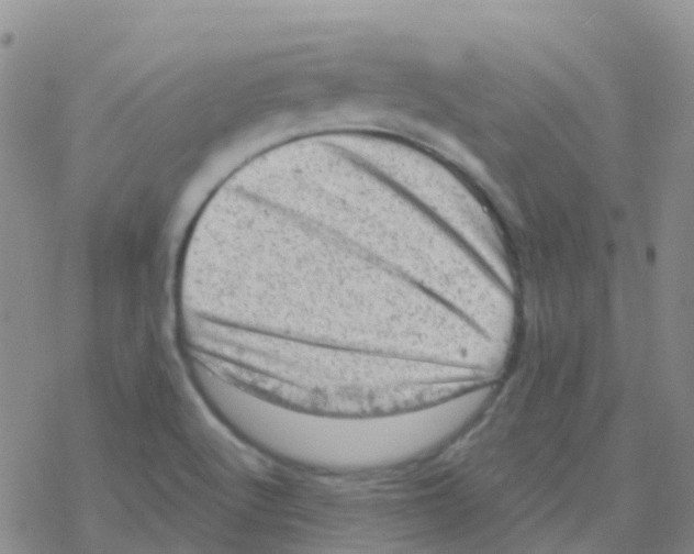 X0000076301512200610271901