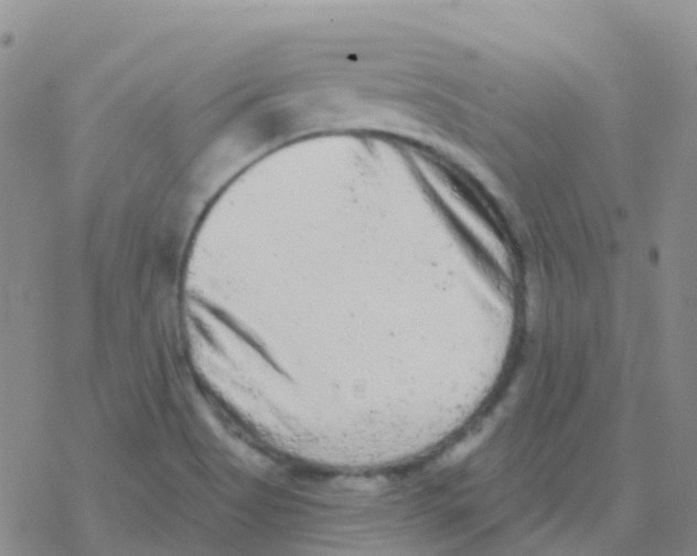 X0000076301513200610271901