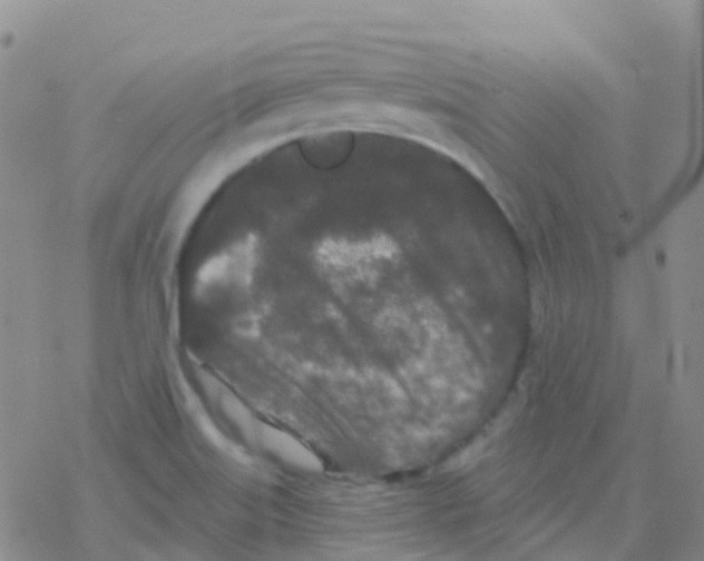 X0000076301515200610271901