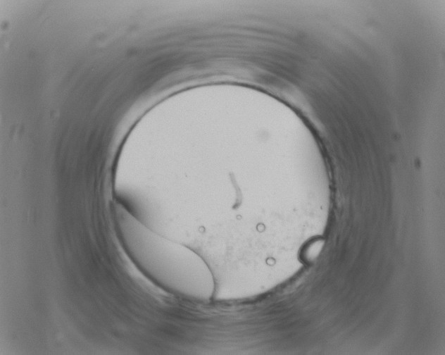 X0000076301516200610271901